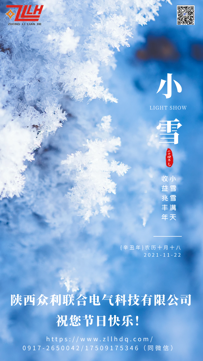 小雪雪花純凈藍色傳統(tǒng)節(jié)氣簡約海報